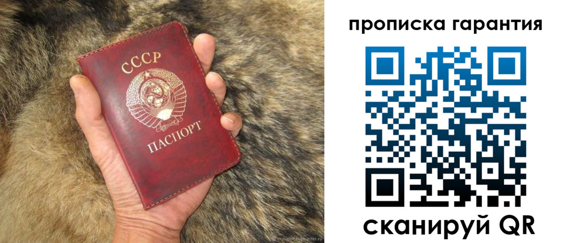 прописка паспорт в Ростове